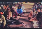 बॉलीवुड सितारे जिन्होंने किया छत्तीसगढ़ी फिल्मों में काम | ‘भूलन द मेज़’ से मिली नई पहचान