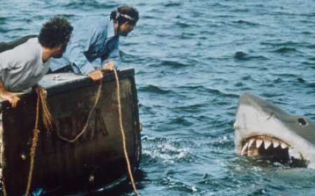 बॉक्स ऑफिस: ‘Weapons’ ने शांत लेबर डे वीकेंड में $12.4 मिलियन के साथ बाज़ी मारी, ‘Jaws’ ने ‘Caught Stealing,’ ‘The Roses’ को पीछे छोड़ा