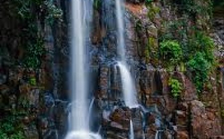 🎬 छॉलीवुड फिल्मों की पसंदीदा लोकेशन: गाँव, प्रकृति और विरासत में छिपा असली छत्तीसगढ़