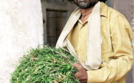 ओंकार दास मानिकपुरी बायोग्राफी: गाँव से राष्ट्रीय फिल्म स्टार तक की प्रेरक कहानी