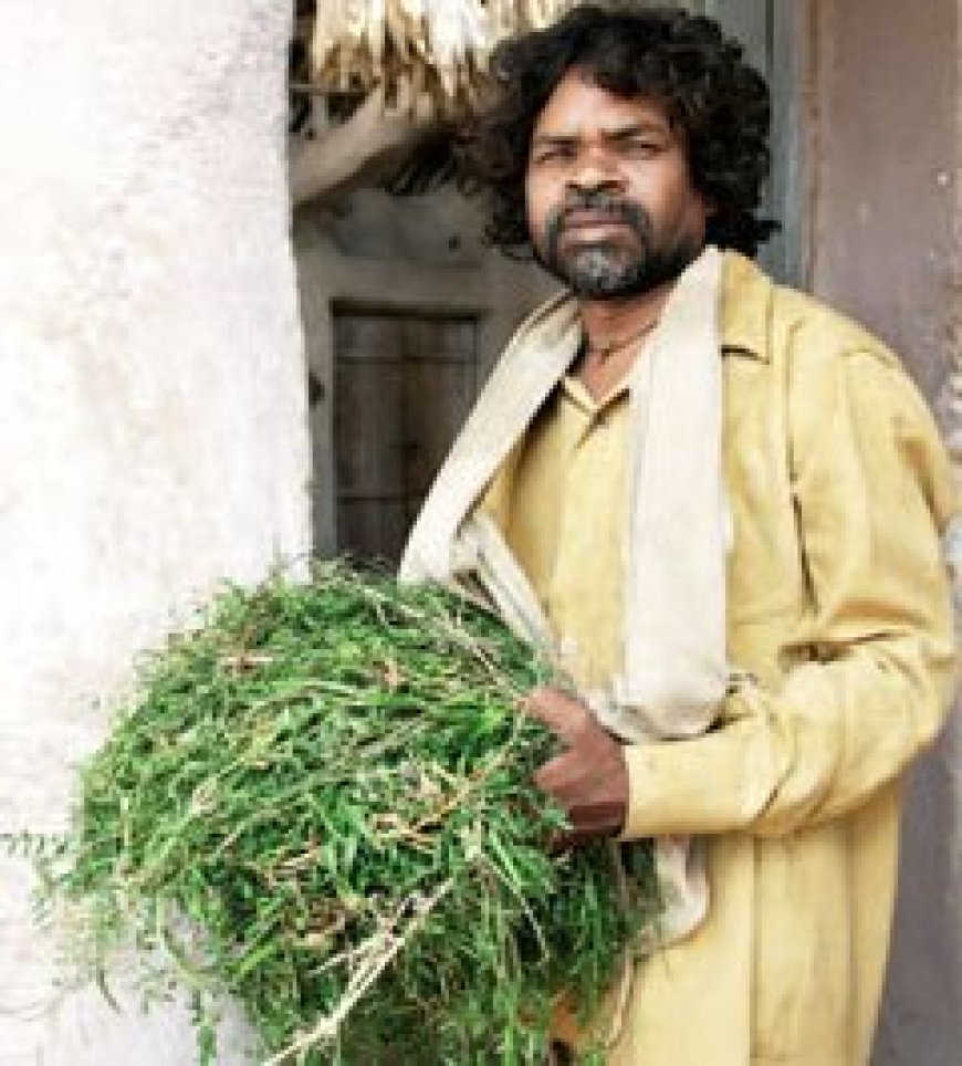 ओंकार दास मानिकपुरी बायोग्राफी: गाँव से राष्ट्रीय फिल्म स्टार तक की प्रेरक कहानी