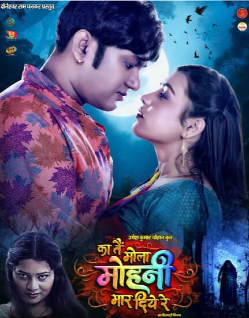 जनवरी 2026 में छत्तीसगढ़ी फिल्मों का धमाका: हॉरर-लव से लेकर पारिवारिक ड्रामा तक सिनेमाघरों में मचेगा तहलका