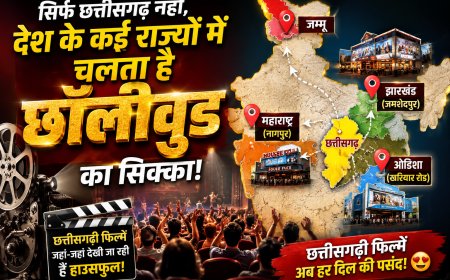 सिर्फ छत्तीसगढ़ नहीं, देश के कई राज्यों में चलता है छॉलीवुड का जादू